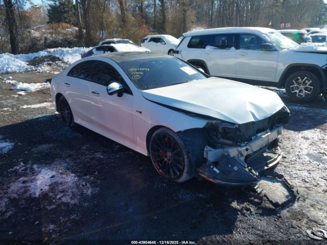 2019 MERCEDES-BENZ CLS 450 WDD2J5KB4KA031238