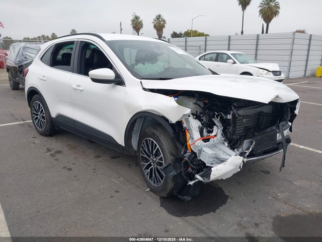 2025 FORD ESCAPE 1FMCU0E16SUB41908