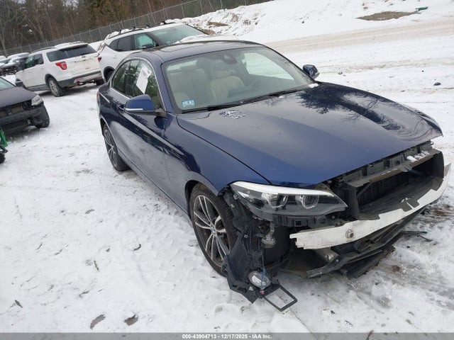 2019 BMW 230I WBA2J1C57K7D45622