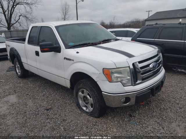 2010 FORD F-150 1FTFX1EV0AFA36317