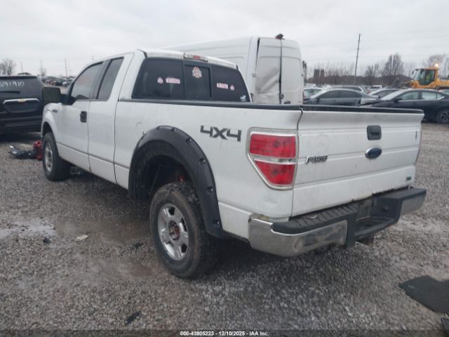 2010 FORD F-150 1FTFX1EV0AFA36317 Photo 2