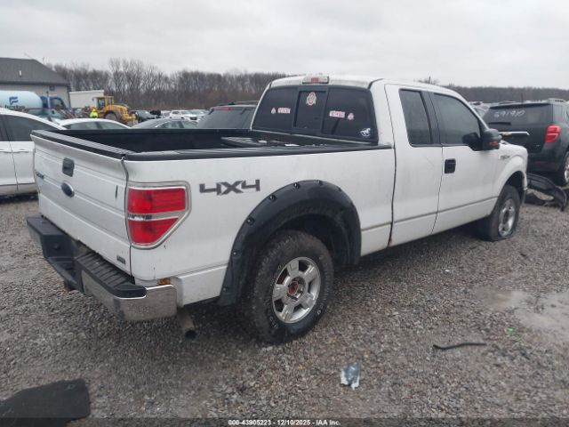 2010 FORD F-150 1FTFX1EV0AFA36317 Photo 3