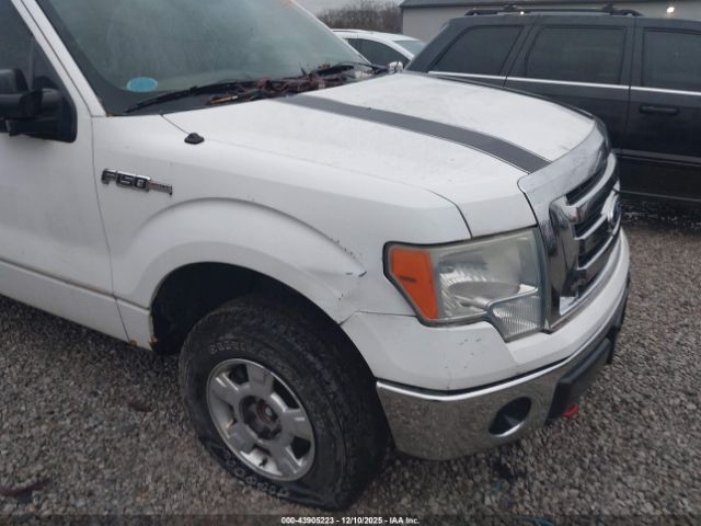 2010 FORD F-150 1FTFX1EV0AFA36317 Photo 5