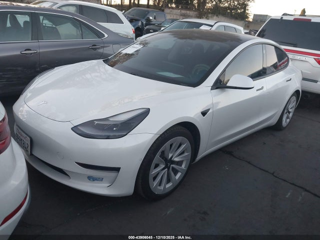 2021 TESLA MODEL 3 5YJ3E1EA1MF065954 Photo 1