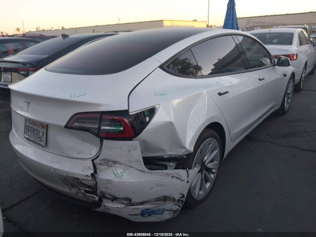 2021 TESLA MODEL 3 5YJ3E1EA1MF065954 Photo 3