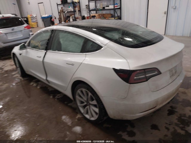 2020 TESLA MODEL 3 5YJ3E1EB6LF712291 Photo 2