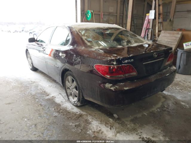 2005 LEXUS ES 330 JTHBA30G855088793 Photo 2