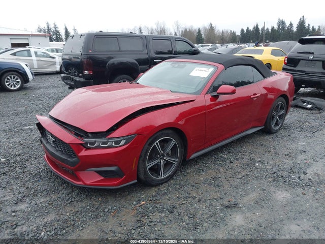 1FAGP8UH4R5106515 Ford Mustang Ecoboost