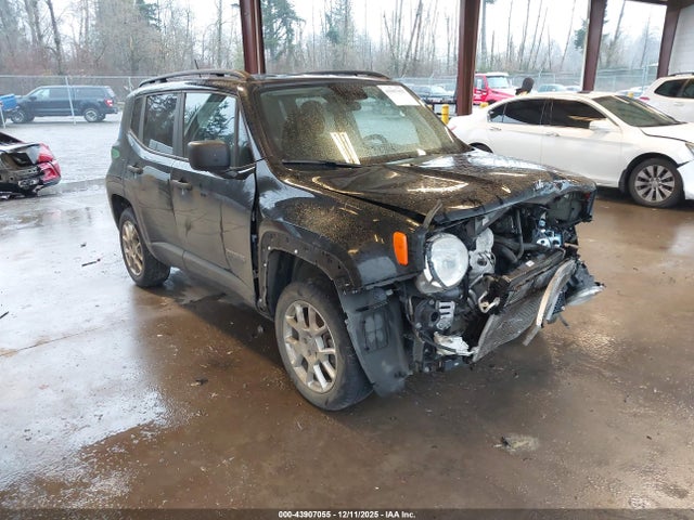 2019 JEEP RENEGADE ZACNJBABXKPK70393