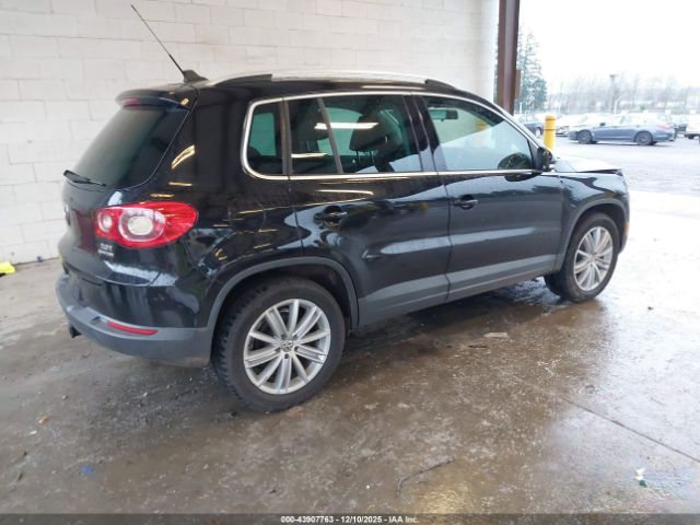 2011 VOLKSWAGEN TIGUAN WVGBV7AX2BW531856 Photo 3