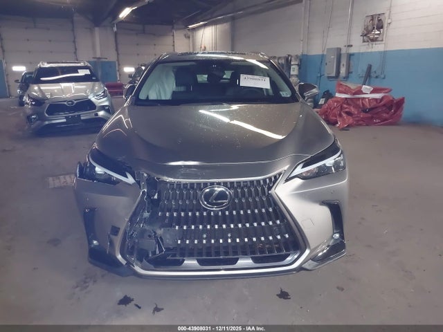 Продаж на аукціоні авто 2024 Lexus Nx 350 Premium, vin: 2T2GGCEZXRC058991, номер лоту: 43908031