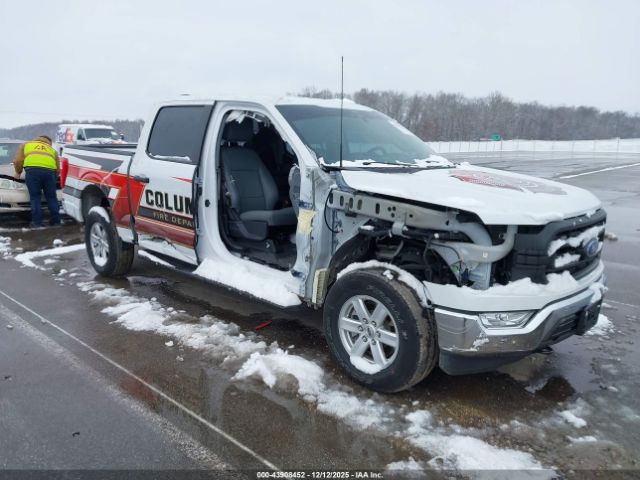 2021 FORD F-150 1FTFW1E51MFD10387