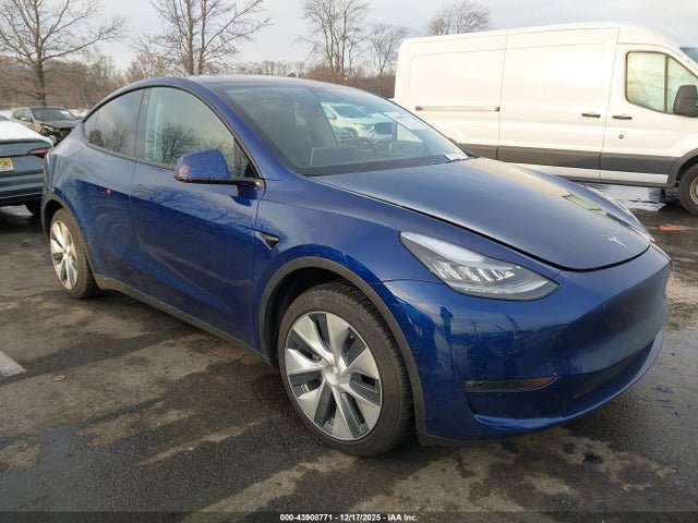2020 TESLA MODEL Y 5YJYGDEEXLF025231 Photo 0