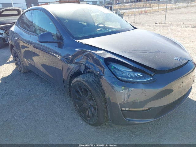 2020 TESLA MODEL Y 5YJYGDEE9LF037919 Photo 5