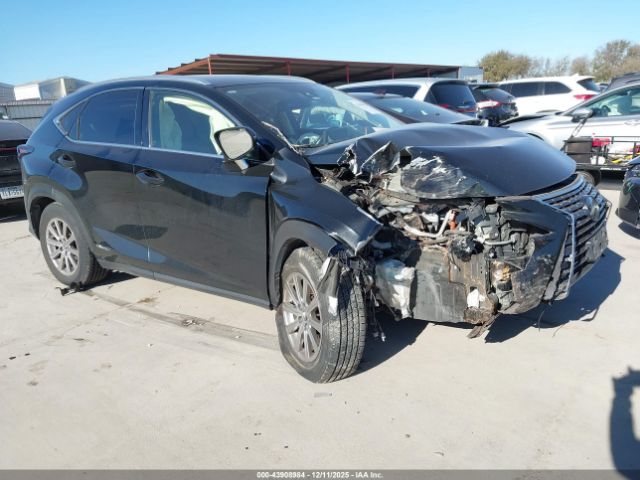 2021 LEXUS NX 300H JTJDJRDZ2M2149836