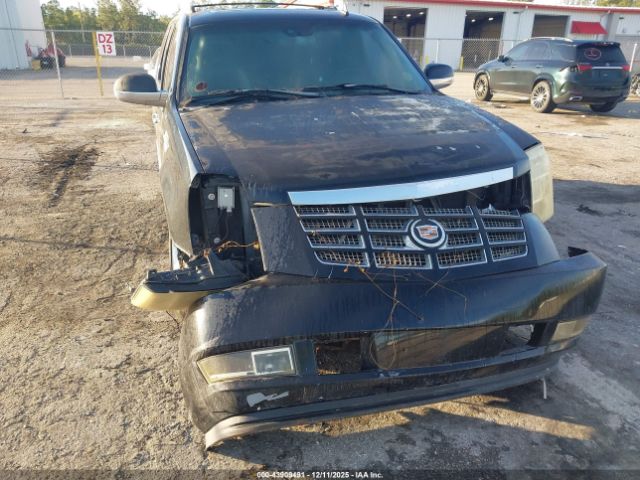 2007 CADILLAC ESCALADE 1GYEC63887R310849 Photo 5