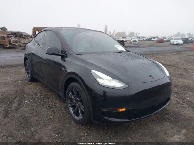 2024 TESLA MODEL Y 7SAYGDEDXRF206638