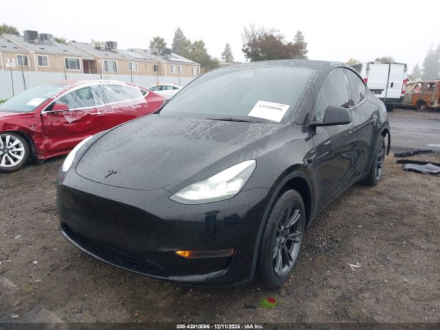 2024 TESLA MODEL Y 7SAYGDEDXRF206638 Photo 1