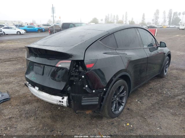 2024 TESLA MODEL Y 7SAYGDEDXRF206638 Photo 3