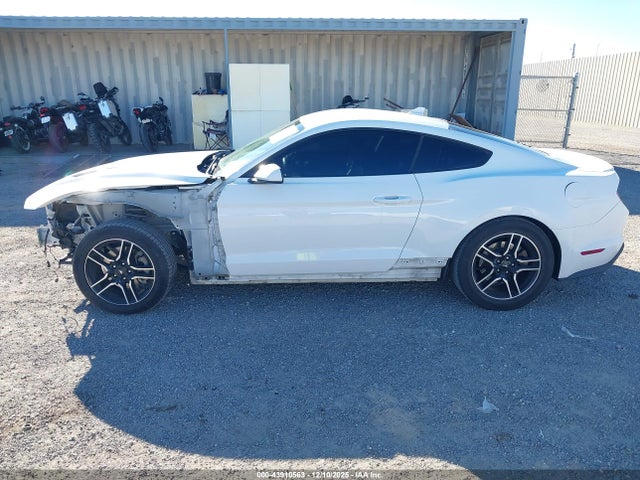 Ford Mustang Ecoboost Premium Fastback 2021 1FA6P8TH1M5141907 Image 15