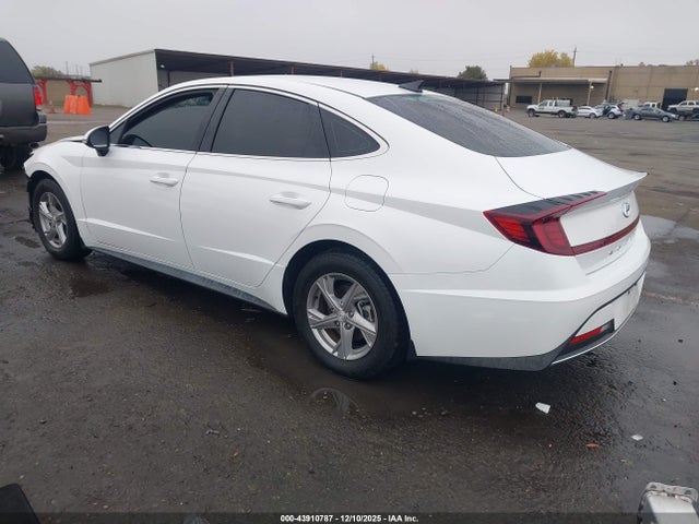 KMHL24JA1PA315136 Hyundai SONATA SE