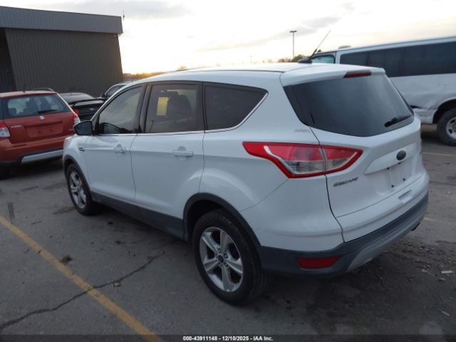 2014 FORD ESCAPE 1FMCU0GX1EUD58675 Photo 2