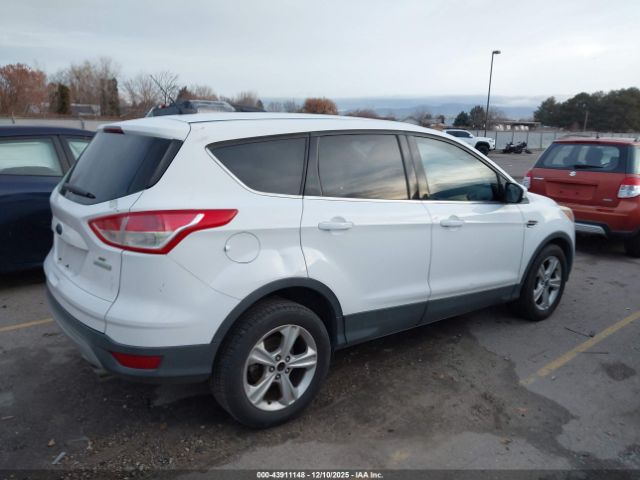 2014 FORD ESCAPE 1FMCU0GX1EUD58675 Photo 3