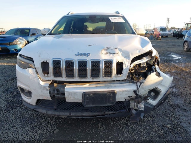 Jeep Cherokee Limited 4x4 2019 1C4PJMDX4KD359633 Image 12