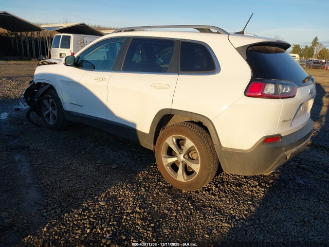Jeep Cherokee Limited 4x4 2019 1C4PJMDX4KD359633 Image 3