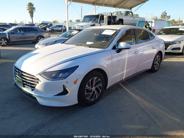 KMHL24JJ5LA010295 Hyundai Sonata Hybrid Blue