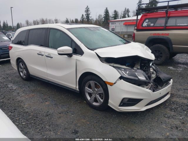 2019 HONDA ODYSSEY 5FNRL6H77KB043659
