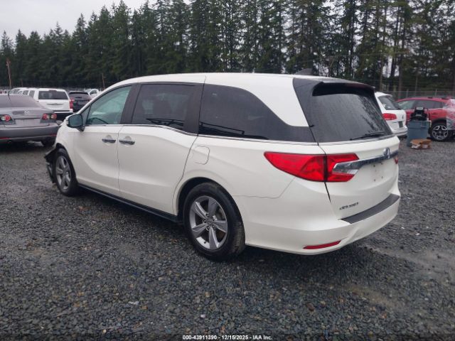 2019 HONDA ODYSSEY 5FNRL6H77KB043659 Photo 2
