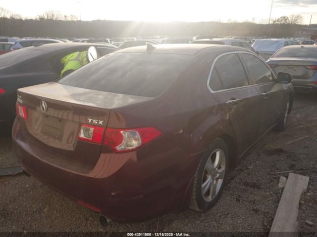2010 ACURA TSX JH4CU2F60AC034141 Photo 3