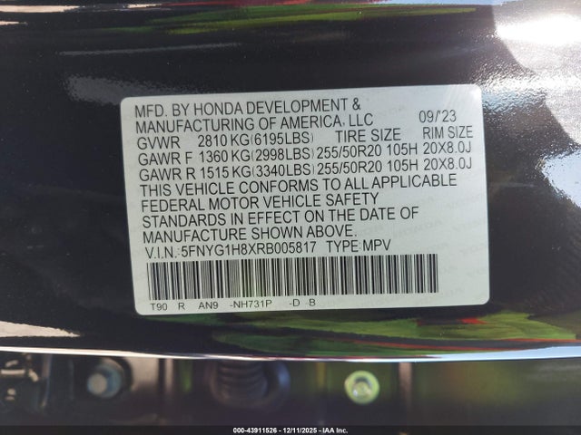 5FNYG1H8XRB005817 Honda Pilot Elite