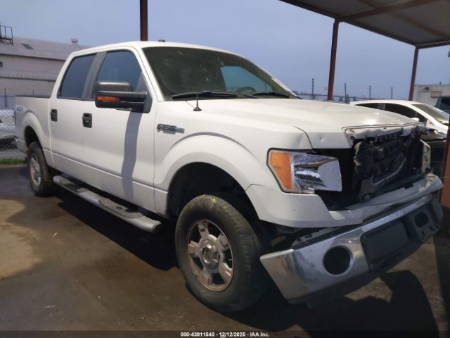 2009 FORD F-150 1FTPW14V59FA11319