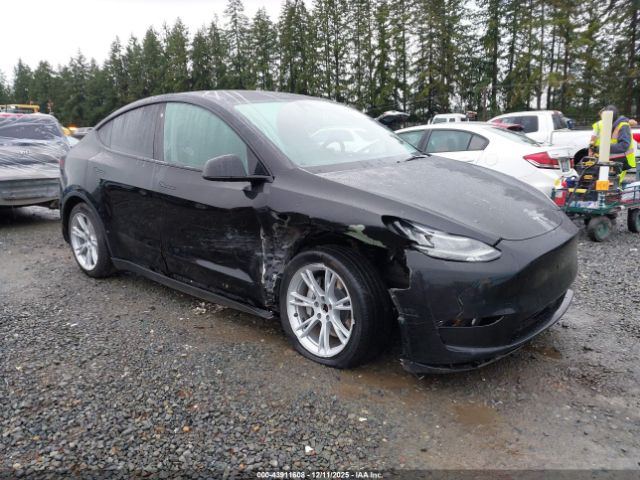 2023 TESLA MODEL Y 7SAYGDEE0PA045588
