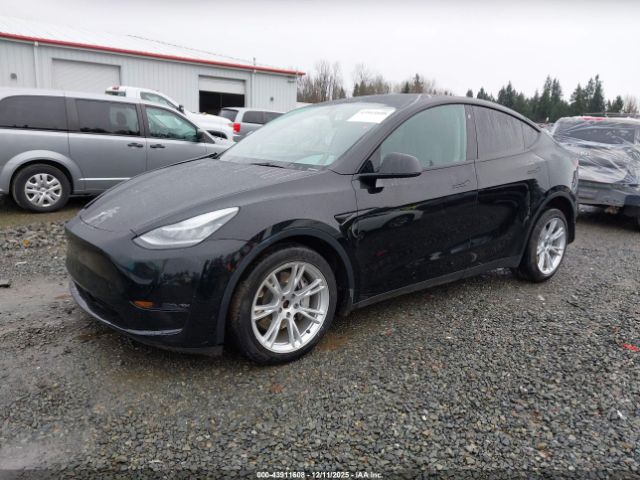 2023 TESLA MODEL Y 7SAYGDEE0PA045588 Photo 1