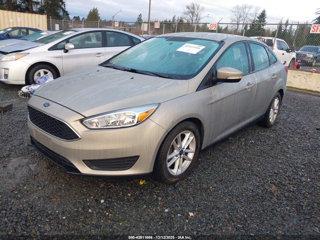 1FADP3F21GL365177 Ford FOCUS SE