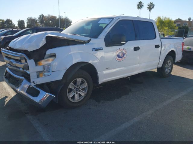 2015 FORD F-150 1FTEW1CPXFKE64381 Photo 1
