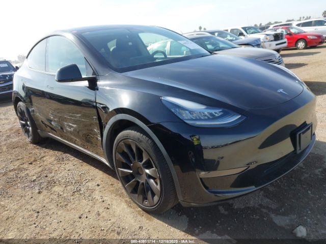 2021 TESLA MODEL Y 5YJYGDED2MF114042
