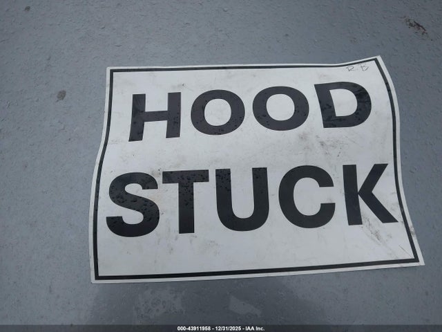 2025 TESLA MODEL 3 5YJ3E1EA3SF891203 Photo 9