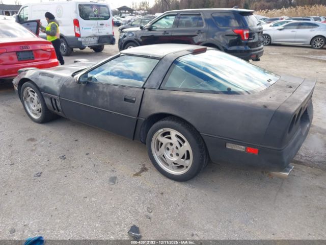 1990 CHEVROLET CORVETTE 1G1YY2380L5105484 Photo 2