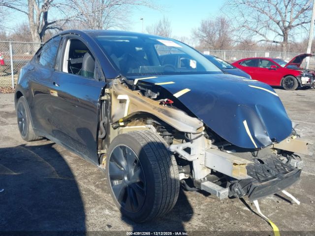 2024 TESLA MODEL Y 7SAYGDED0RF112395