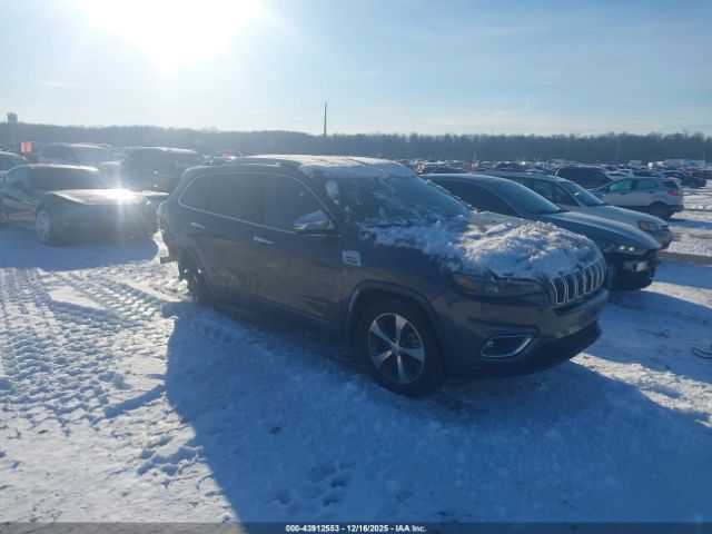 2019 JEEP CHEROKEE 1C4PJMDX4KD424108
