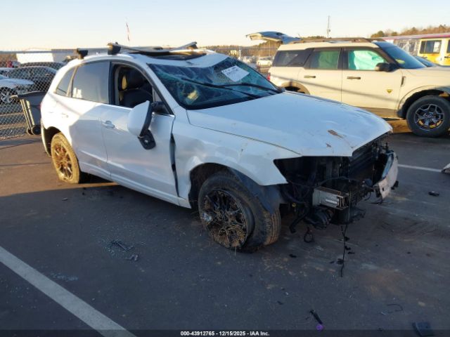 2010 AUDI Q5 WA1LKAFP3AA081888