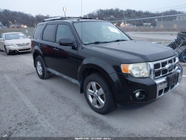 2009 FORD ESCAPE 1FMCU04G99KA79903