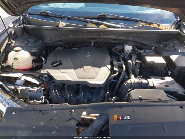 Aukcja sprzedaży 2024 Hyundai Tucson Sel, vin: 5NMJBCDE7RH323318, numer aukcji: 43912903