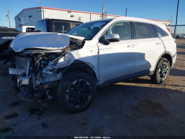 Продаж на аукціоні авто 2024 Kia Sorento S, vin: 5XYRLDJC3RG302193, номер лоту: 43913702