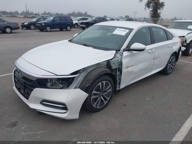 Honda lfb2 2020 1HGCV3F11LA009984 Image 2