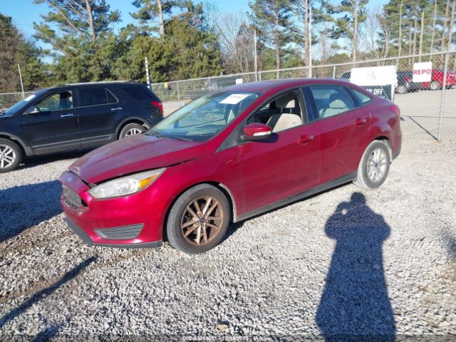 2016 FORD FOCUS 1FADP3F29GL219464 Photo 1